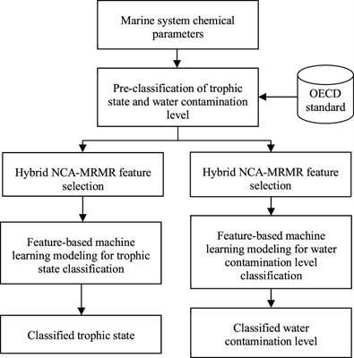 Applying Limnological Feature-Based Machine Learning Techniques to Chemical State Classification in Marine Transitional Systems